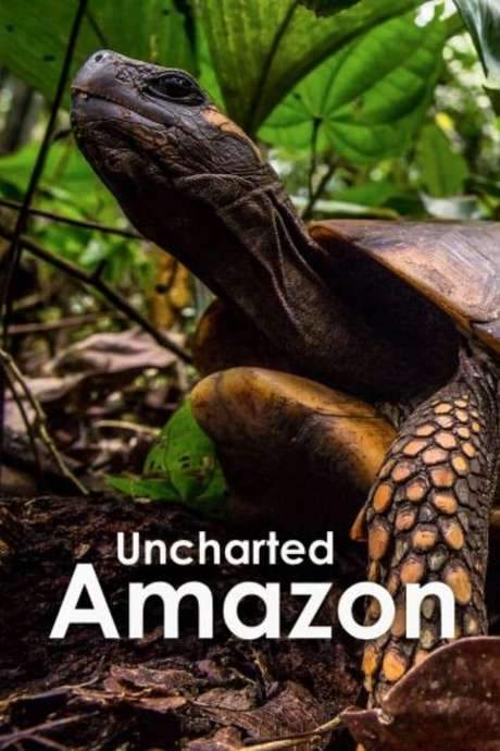 Uncharted Amazon